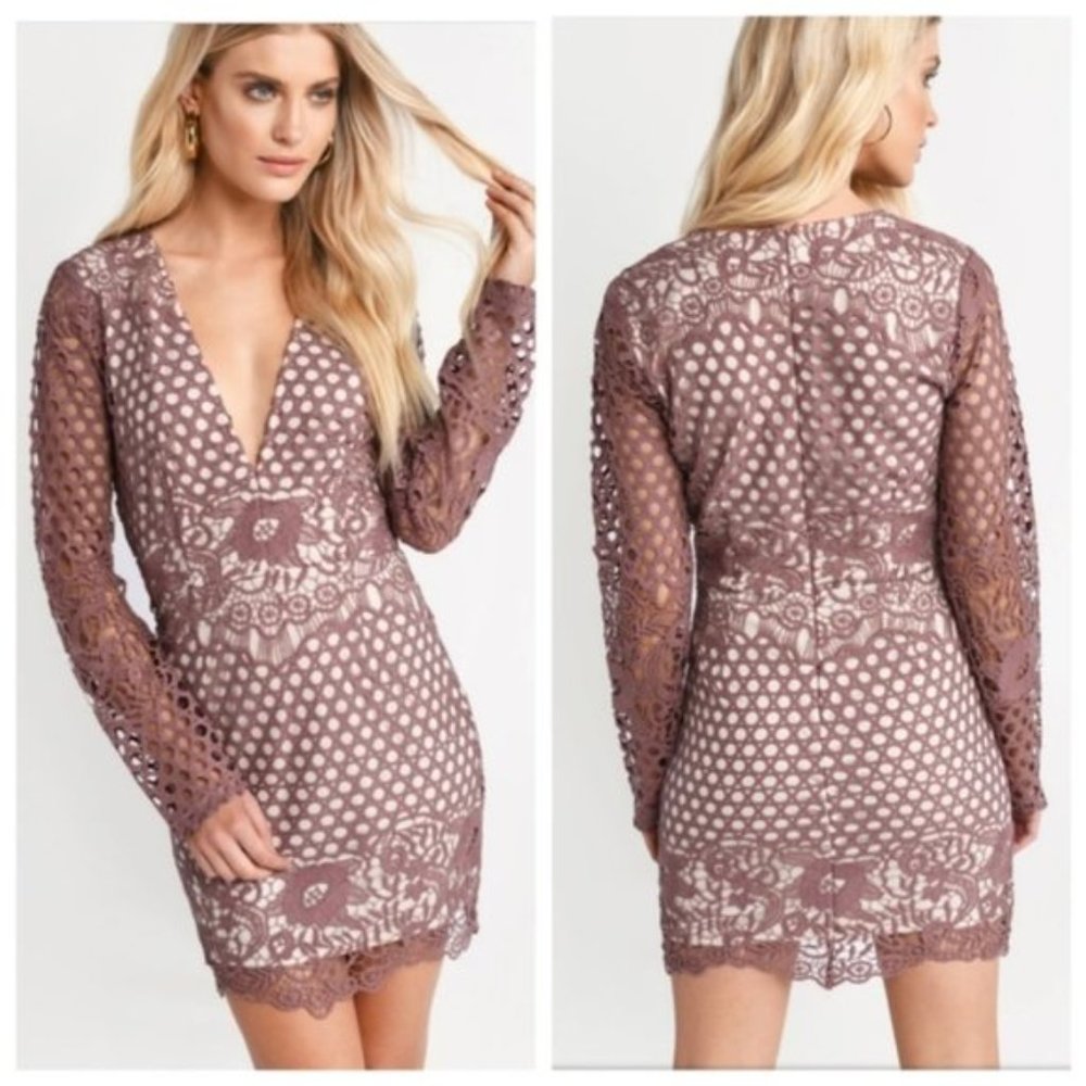 Tobi Emily Lace Bodycon Dress in Rose